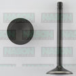 Valve Inlet CHRY HEMI 215/245/273/318/360 IN1914 - Nason
