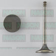 Valve Inlet FORD 1600 IN1947 - NASON