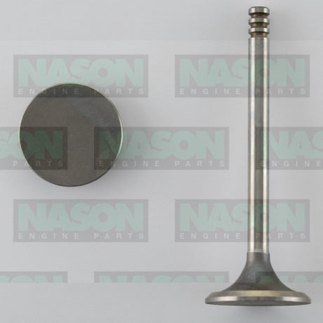 Valve Inlet FORD 1600 IN1947 - Nason