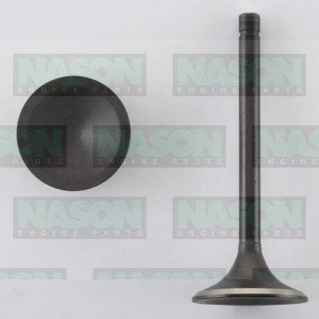 Valve Inlet CHRY 265/340/360 IN1974 - Nason