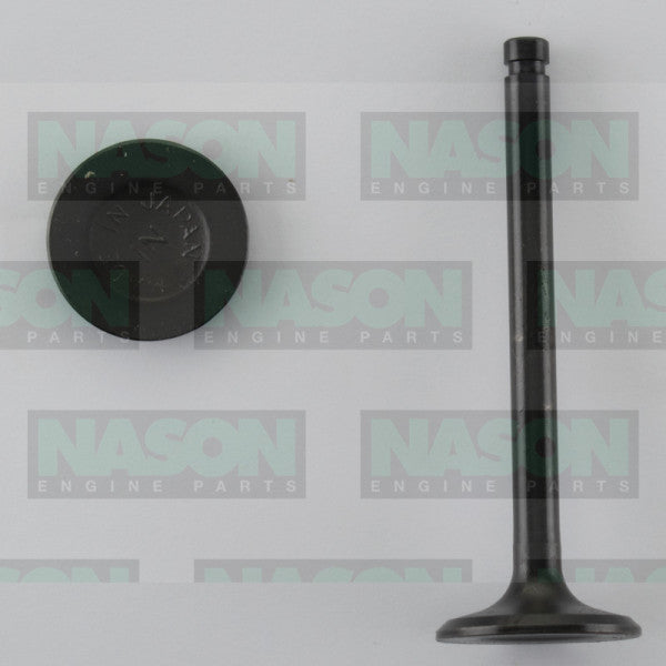 Valve Inlet NISSAN A12 IN1992 - NASON