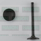 Valve Inlet NISSAN A12 IN1992 - Nason
