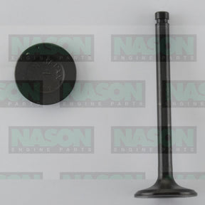 Valve Inlet NISSAN A12 IN1992 - NASON