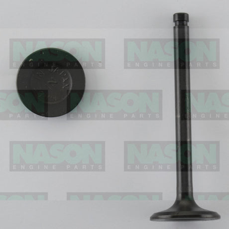 Valve Inlet NISSAN A12 IN1992 - Nason