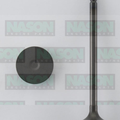 Valve Inlet MITSUBISHI 4M41T TURBO DIESEL IN2032 - Nason