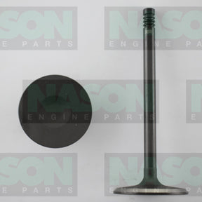 Valve Inlet FORD 302/351 CLEVELAND 2V IN2070 - NASON