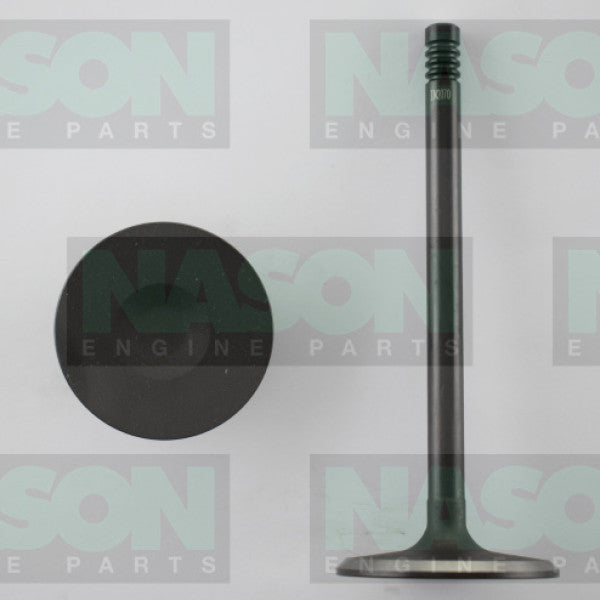 Valve Inlet FORD 302/351 CLEVELAND 2V IN2070 - NASON