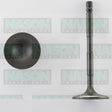 Valve Inlet HOLDEN V8 L34 IN2112 - NASON