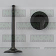 Valve Inlet HOLDEN ISUZU G161Z ETC IN2119 - NASON