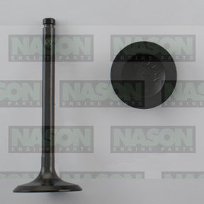 Valve Inlet HOLDEN ISUZU G161Z ETC IN2119 - NASON