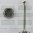 Valve Inlet NISSAN J15 J16 IN2189 - NASON