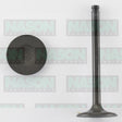 Valve Inlet HOLDEN ISUZU G161Z ETC IN2195 - NASON