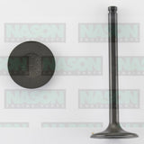 Valve Inlet HOLDEN ISUZU G161Z ETC IN2195 - Nason