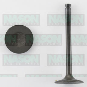 Valve Inlet HOLDEN ISUZU G161Z ETC IN2195 - NASON