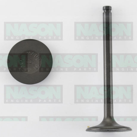 Valve Inlet HOLDEN ISUZU G161Z ETC IN2195 - Nason