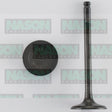 Valve Inlet MITSU 4G12 4G15 SOHC 8V IN2197 - NASON