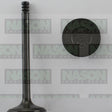 Valve Inlet TOYOTA L 2L 2L-T DIESEL IN2206 - Nason