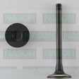 Valve Inlet HOLDEN 1.6 CAMIRA IN2209 - NASON
