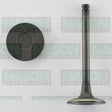 Valve Inlet HOLDEN 1.8 CAMIRA IN2212 - NASON