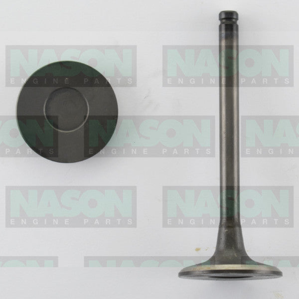 Valve Inlet HOLDEN 1.8 CAMIRA IN2212 - NASON