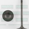 Valve Inlet HOLDEN V8 4.9 5.0 EFI IN2231 - NASON