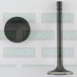 Valve Inlet HOLDEN 6 CYL BLUE IN2910 - NASON