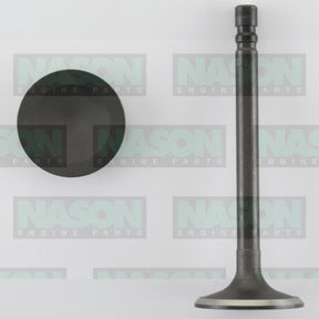Valve Inlet HOLDEN 6 CYL BLUE IN2910 - NASON