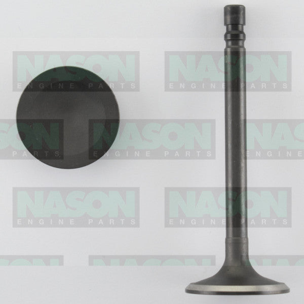 Valve Inlet HOLDEN 6 CYL BLUE IN2910 - NASON