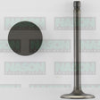 Valve Inlet HOLDEN V6 3.8L VN-VR IN3010 - NASON