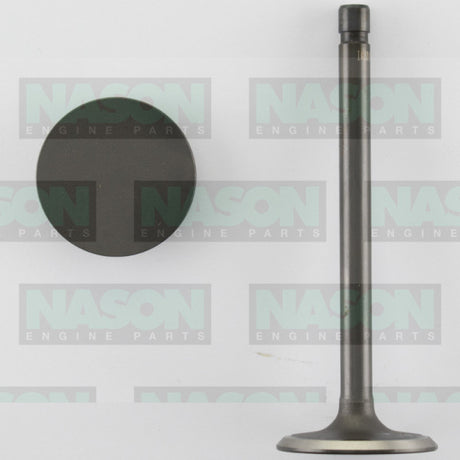 Valve Inlet HOLDEN V6 3.8L VN-VR IN3010 - Nason