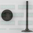 Valve Inlet ISUZU 4ZC1 4ZD1 IN3032 - NASON