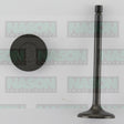 Valve Inlet ISUZU 4JA1/ 4JB1/ 4JB1-T IN3034 - NASON