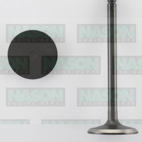 Valve Inlet NISSAN TD27 TD27Ti TD42 TD42T IN3040 - Nason