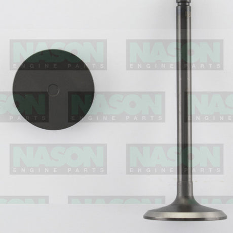 Valve Inlet NISSAN TD27 TD27Ti TD42 TD42T IN3040 - Nason