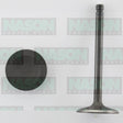 Valve Inlet MAZDA F8 FE IN3052 - NASON