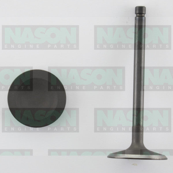 Valve Inlet MAZDA F8 FE IN3052 - NASON