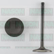 Valve Inlet NISSAN TB42S IN3058 - NASON