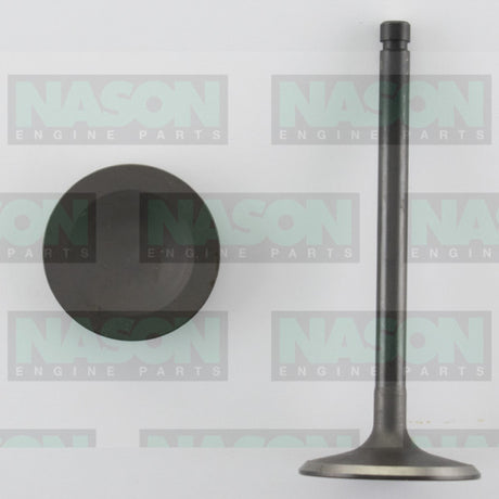 Valve Inlet NISSAN TB42S IN3058 - Nason