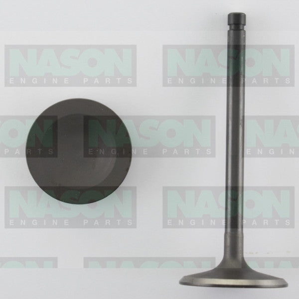 Valve Inlet NISSAN TB42S IN3058 - NASON