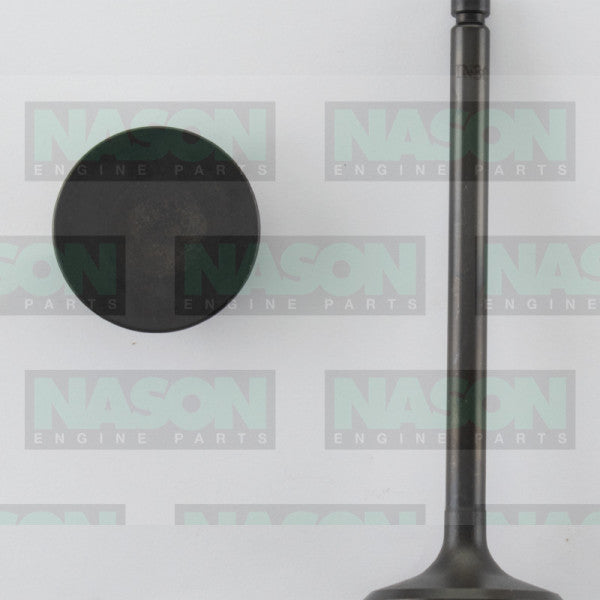 Valve Inlet MITSU 4DR5 IN3060 - NASON