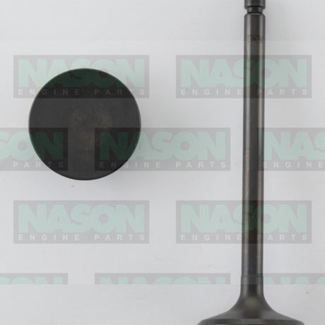 Valve Inlet MITSU 4DR5 IN3060 - Nason
