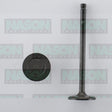 Valve Inlet MITSU 4D55 4D56 RND IN3064 - NASON