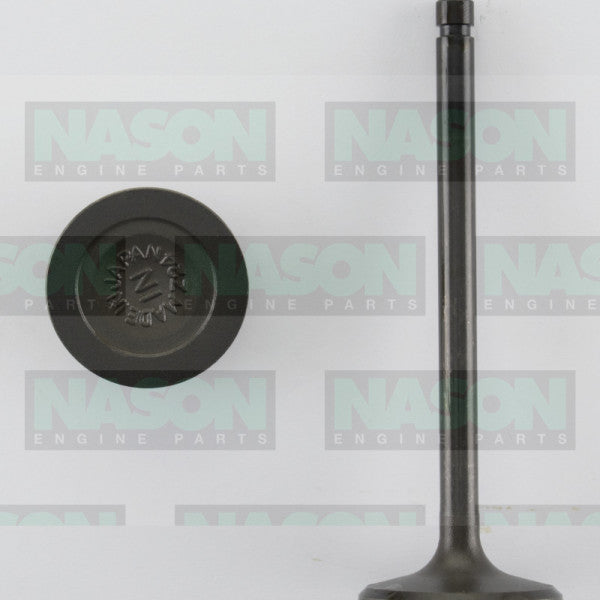 Valve Inlet NISSAN Z22 Z24 IN3074 - NASON