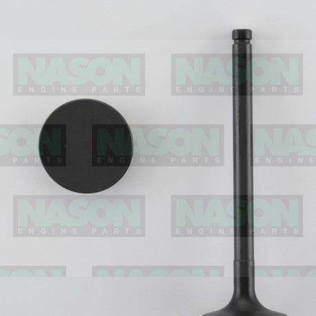 Valve Inlet NISSAN SD22 SD33 IN3076 - Nason