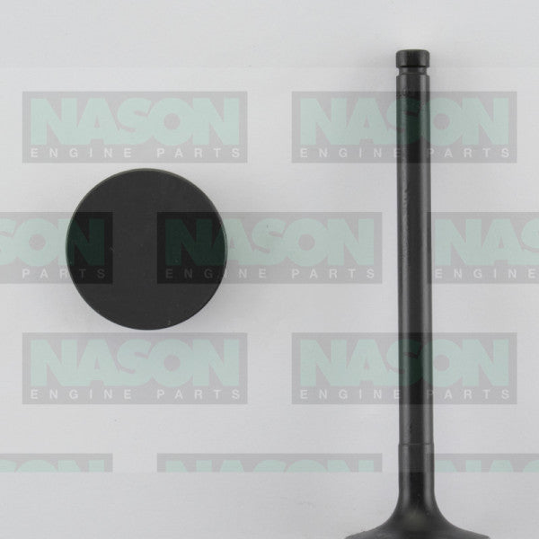 Valve Inlet NISSAN SD22 SD33 IN3076 - NASON