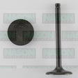 Valve Inlet SUBARU EA71 EA81 IN3090 - NASON