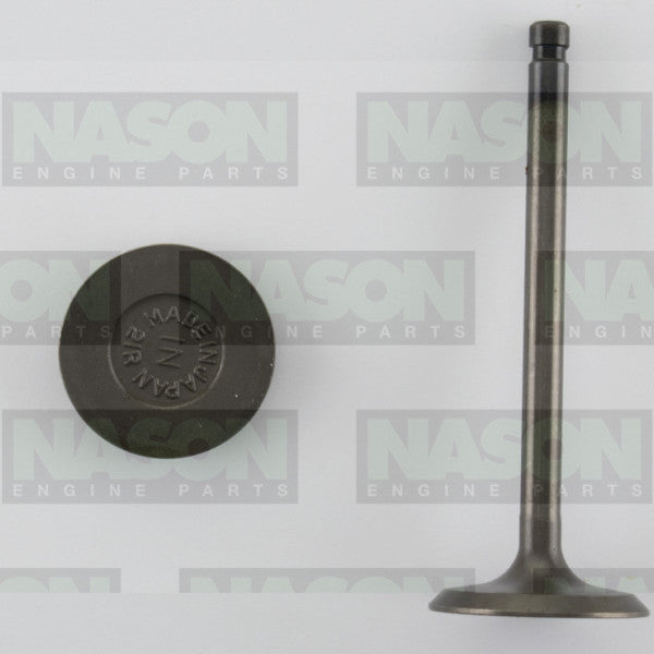 Valve Inlet TOYOTA 20R 21R IN3100 - NASON