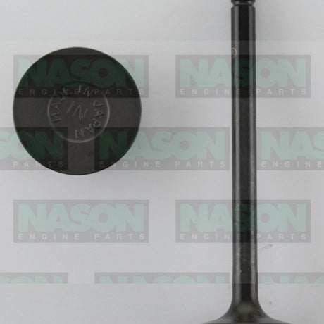 Valve Inlet TOYOTA 3B DIESEL IN3120 - Nason