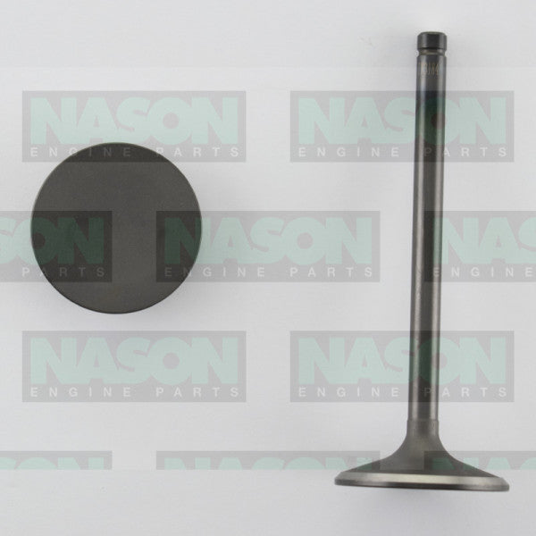 Valve Inlet HOLDEN V6 3.8L VS ON IN3184 - NASON
