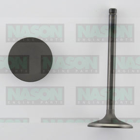 Valve Inlet HOLDEN V6 3.8L VS ON IN3184 - NASON